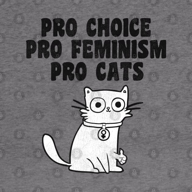 Pro Choice. Pro Feminism. Pro Cats. by darklordpug